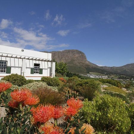 The Vineyard Cottage By L' Amitie Estate Franschhoek Exteriör bild
