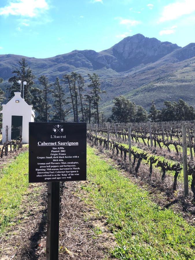 The Vineyard Cottage By L' Amitie Estate Franschhoek Exteriör bild