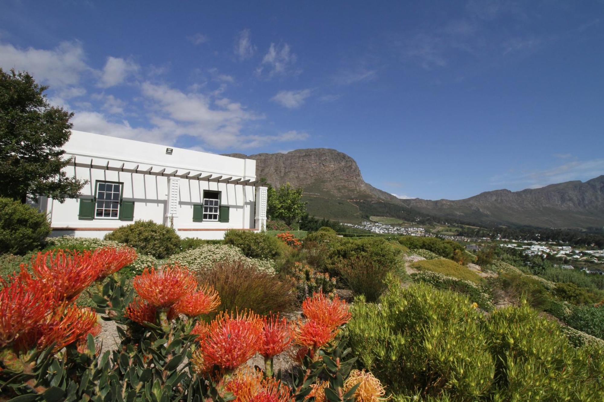 The Vineyard Cottage By L' Amitie Estate Franschhoek Exteriör bild